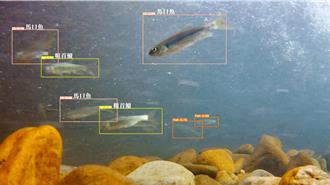 大甲溪生態廊道導入AI辨識     台電要拚聯合國OECM認證