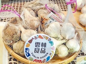 雲林蒜頭大豐收 香辣正當時