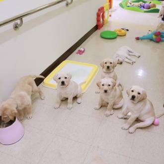 蔡英文这贴文一出「破7万按讚」！画面曝光网友一面倒