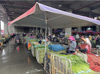 菜價連4個月低迷 雲林葉菜耕鋤數量增 菜農欲哭無淚