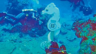 綠島 水下郵筒流標 明信片寄不出