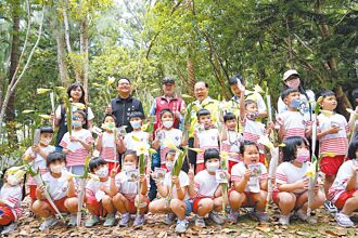 澎湖百合花季登場 10萬朵待綻放