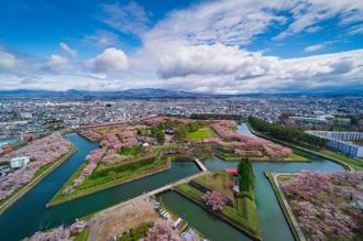 把握最後櫻花季！台灣人最愛北海道5大景點 泡湯賞櫻一次滿足