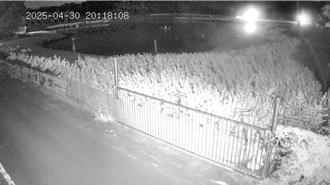 高空燈光秀害慘養鴨場 鴨群驚嚇推擠致死數百隻 損失慘重