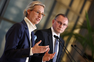 德國列最大在野黨為「極端組織」黨主席批：政治動機明顯