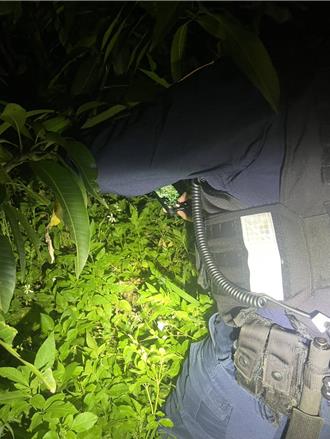 桃園女皮夾遺失信用卡遭盜刷    警2小時逮人讓她喊「天使員警」