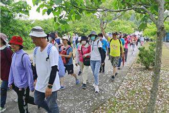 健走賞桐花、逛青創市集！ 苗栗市桐花祭「貓裏小旅行」浪漫登場