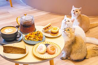 绿舞一泊三食 享五大体验