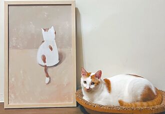 家貓外出用推車 7月免狂犬病疫苗