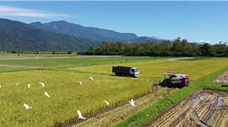 花蓮玉里成立2處有機農業促進區 總面積逾82公頃