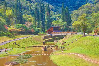 新故鄉願景》金瑞治水園區 內湖生態小祕境
