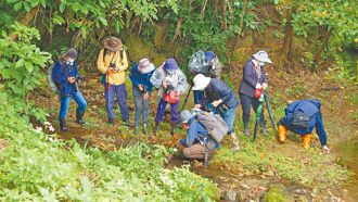 新故乡愿景》园区生态精彩 蝴蝶图鑑筹备中