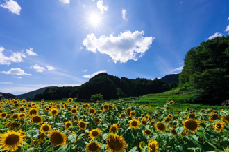 「立夏」轉運月到！屬兔迎財神 屬雞貴人相助