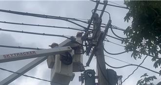 高雄鼓山區電杆冒火花為松鼠釀禍   影響320戶停電搶修
