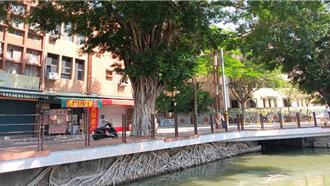 高雄蓮池潭「天空之城樹」倒數 最後一周打卡宮崎駿奇景