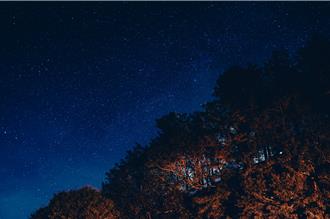 初夏上山追流星、賞紫藤 海拔最高阿里山賓館推5月限定專案