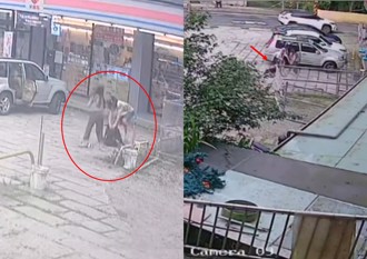 五峰「浪浪小胖」遭遊客家犬攻擊 下車就衝咬！完全拉不住