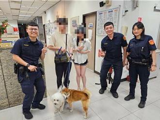 深夜遇逃家毛孩！警「逮捕」比熊犬、柴犬寻主 萌样曝光