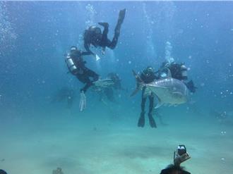 屏東4國小海底畢典登場 潛水領證書與魚群珊瑚共舞