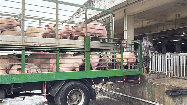 新竹縣楊文科呼籲，國人可多選購國產肉品，不僅生產過程中使用的飼料、用藥都有把關，到肉品市場亦有檢驗。（新竹縣政府提供／陳育賢傳真）