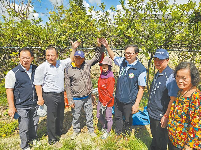 立委徐富癸（右三）5日邀集农政相关单位到屏东竹田乡勘查柠檬受损灾情。（罗琦文摄）