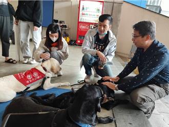 導盲犬進校園！元智大學舉辦特教宣導周 推共融與理解