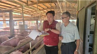 新北109家養豬戶防「瘟」有成 雙溪第三代50年來零缺失