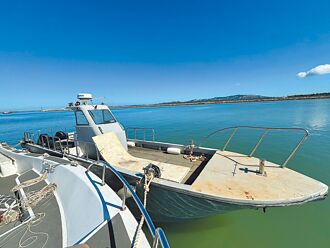 小船走私猖獗 擬修法沒收駕照