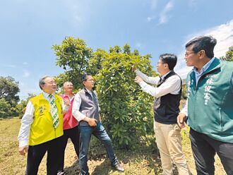 林俊憲爭酪梨補助 陳亭妃秀花價自清