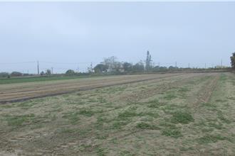 嘉義男非法買漁船捕鮪魚挨罰400萬元 法拍農地不夠繳