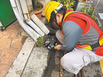 迎戰梅雨季 台中照胃鏡清水溝