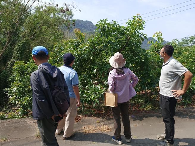 高雄市农业局邀集农试所、农改场及农粮署进行灾情确认。（农业局提供／纪爰高雄传真）