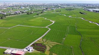 宜蘭「三奇美徑」彩繪稻田開放 到冬山鄉來場夏日輕旅行