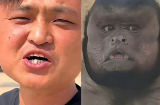 「國字臉猴」爆紅撞臉網紅 陸網笑：失散多年的兄弟