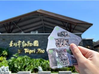 紅毛猩猩、馬來貘過母親節　北市動物園推限量「石虎門票」