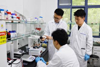 水泥能發電還能儲電？陸科學家首創仿生自發電儲能混凝土