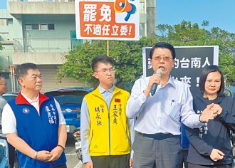 藍黨團接手 台南一周連署逾4千份