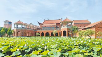 老鹰之手神助 嘉县表艺荷花池重生