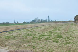 嘉市 違法捕鮪挨罰400萬 農地遭法拍