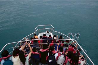 助偏鄉學童近距離觀察鯨豚 花蓮多羅滿公益航線啟程