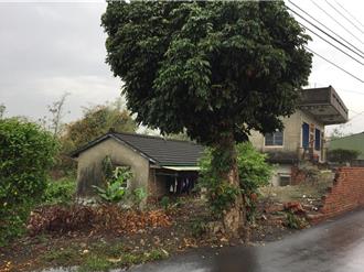 彰化縣標售37筆地籍清理土地 最高底價逾5438萬