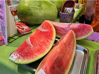 新北希望广场涌入花莲味！大西瓜领军 农会力推在地农产