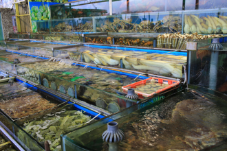 不敵關稅衝擊！美「1美味海鮮」成陸美貿易戰犧牲品