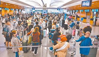 網投旅平險 當紅