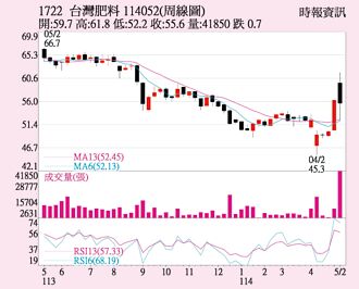 台肥 資產題材發酵