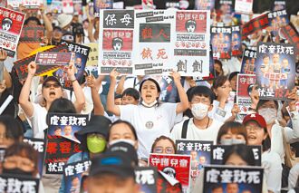 聲援剴剴上凱道 8萬陳情虐童可處死