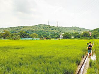 桃園休閒農業區增2處 預算卻縮水