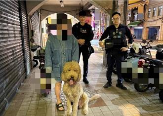 巨型貴賓犬「百威」2度迷途  警民合作助平安返家