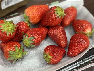 進口草莓農藥違規 微風等3知名超市都有賣