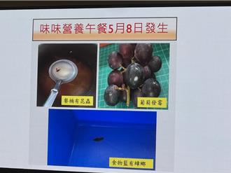 泰山4校食安危機續燒 汐止3校同廠商不同供餐體系也出包